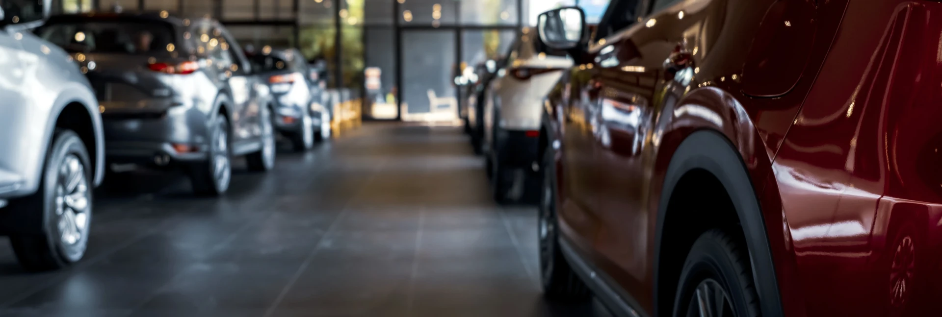 Discover Your Perfect Car