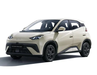 BYD Dolphin Surf Listing Image