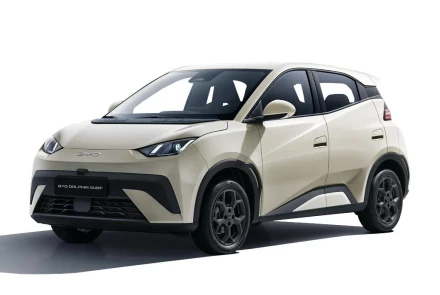 BYD Dolphin Surf Listing Image
