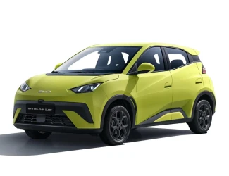 BYD Dolphin Surf Listing Image