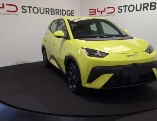 BYD Dolphin Surf Listing Image