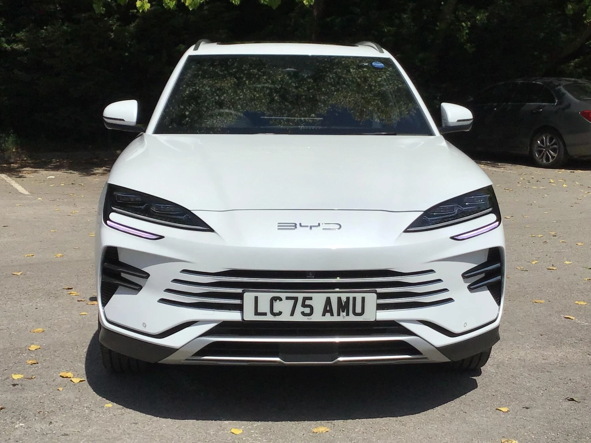 Vehicle image 8