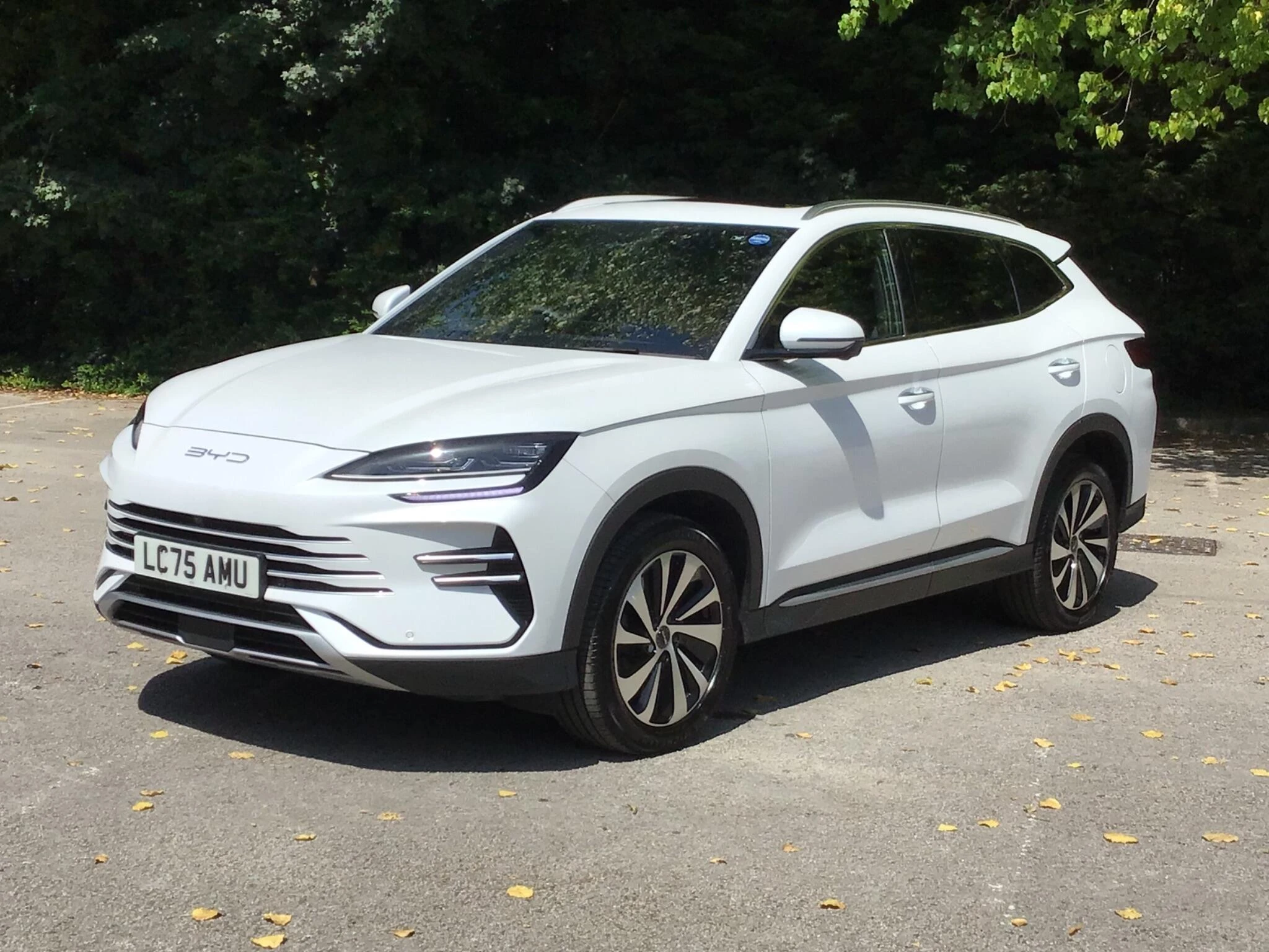 Vehicle image 7