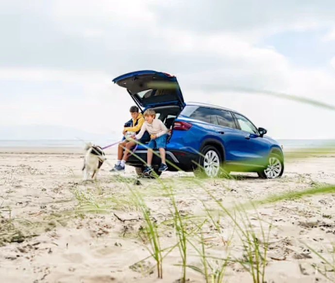 Cars between 1 and 15 years old