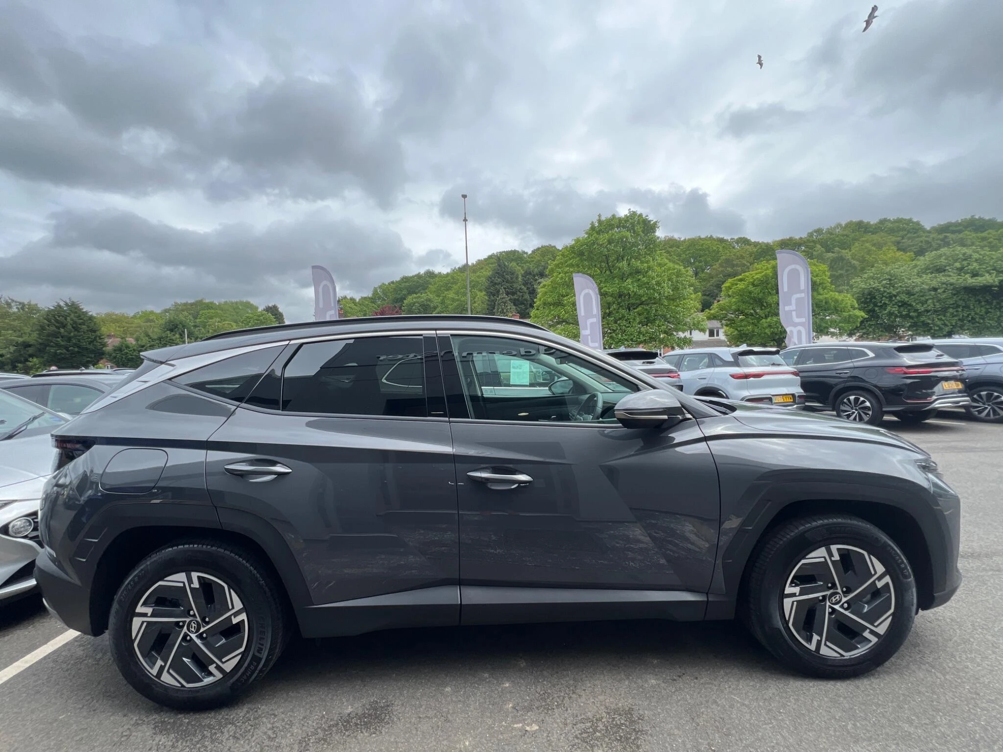 Vehicle image 13