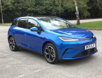 BYD Dolphin G Listing Image