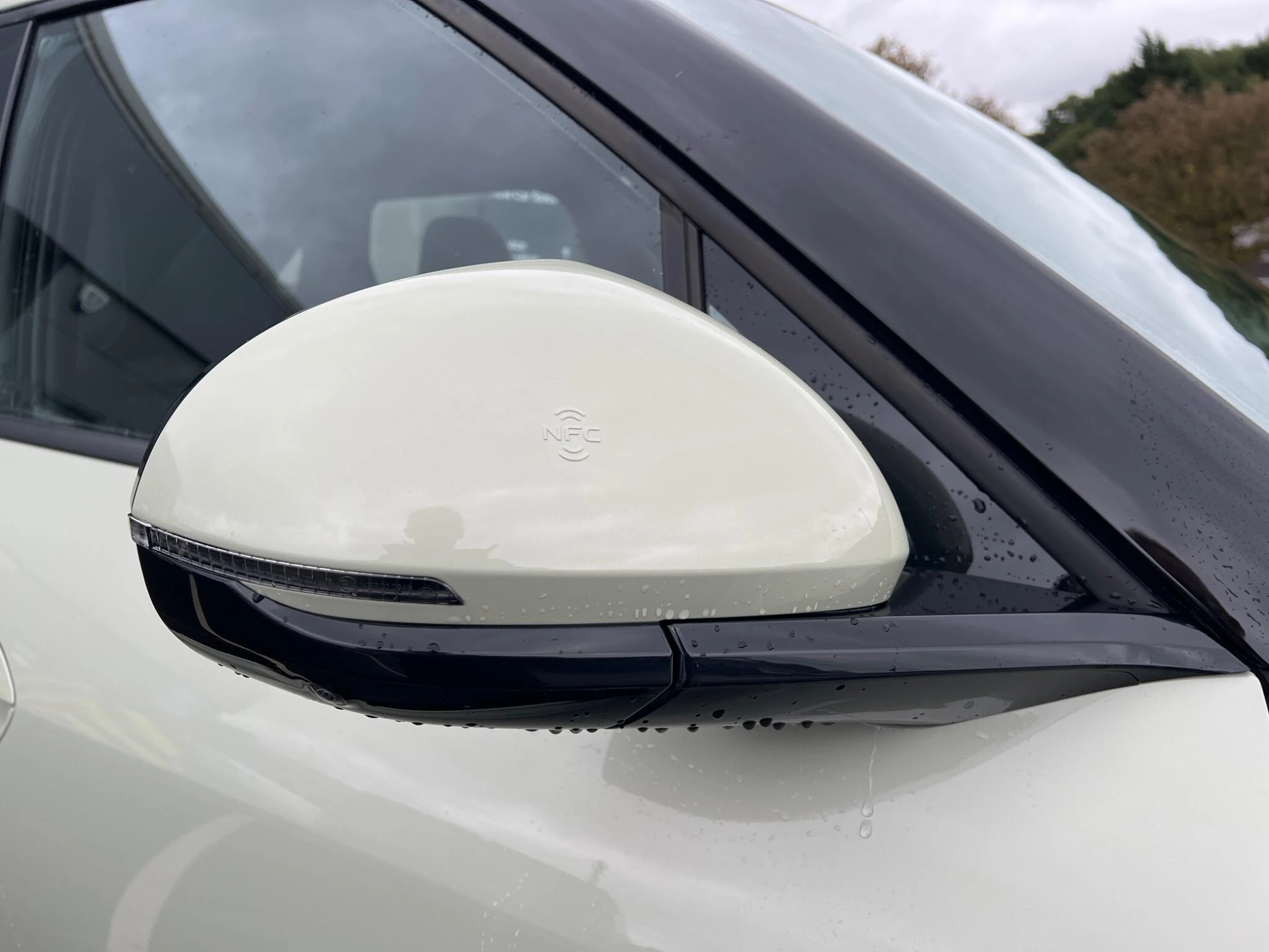 Vehicle image 39