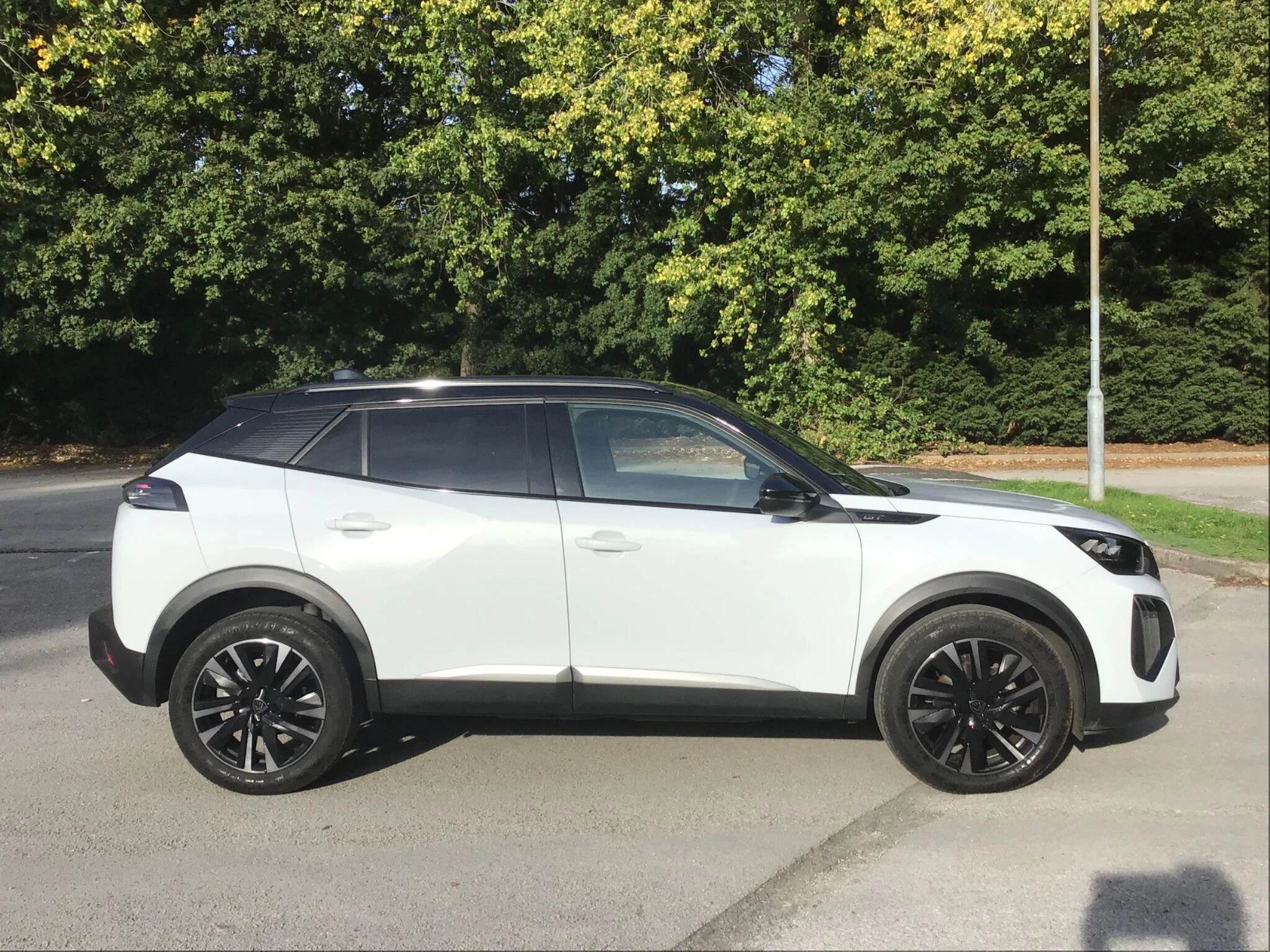 Vehicle image 41