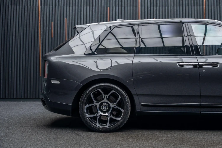 Vehicle Image 19