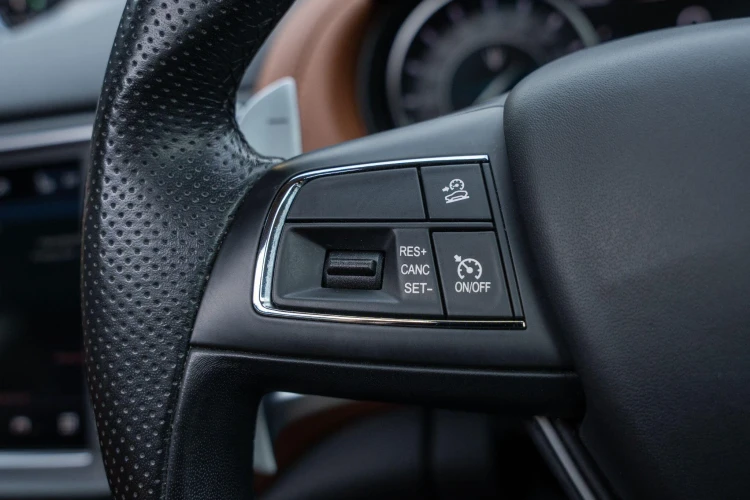 Vehicle Image 32