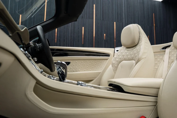 Vehicle Image 39