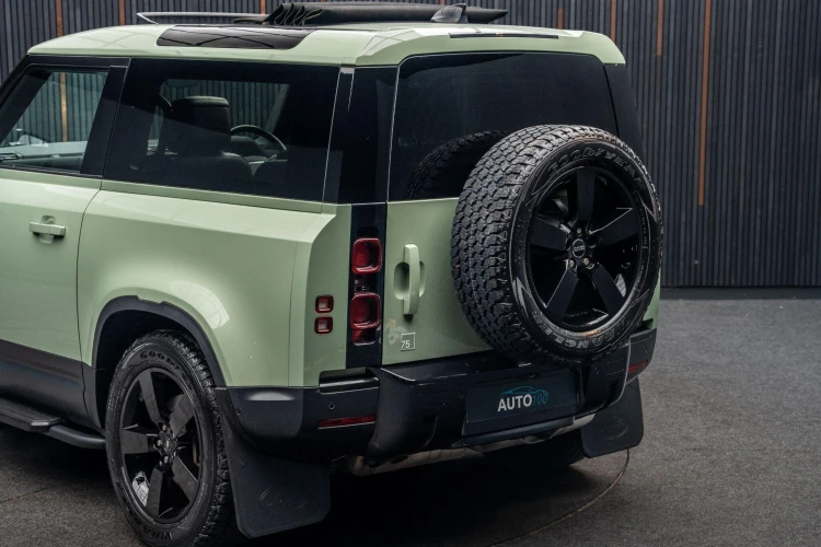 Vehicle Image 19