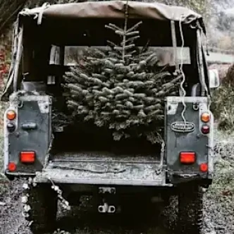 Tips and Tricks for Transporting Your Christmas Tree