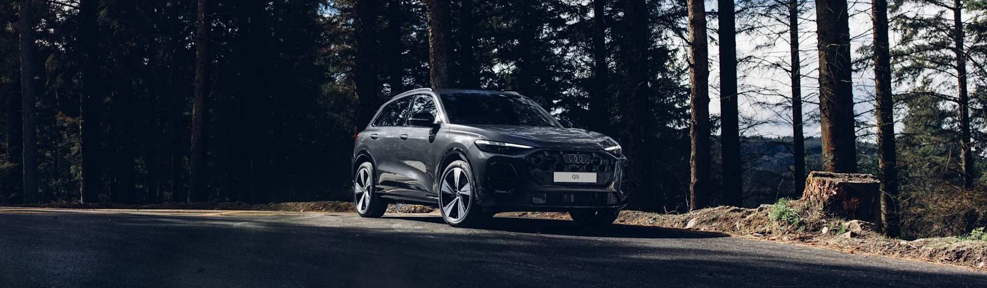 The Audi Q5