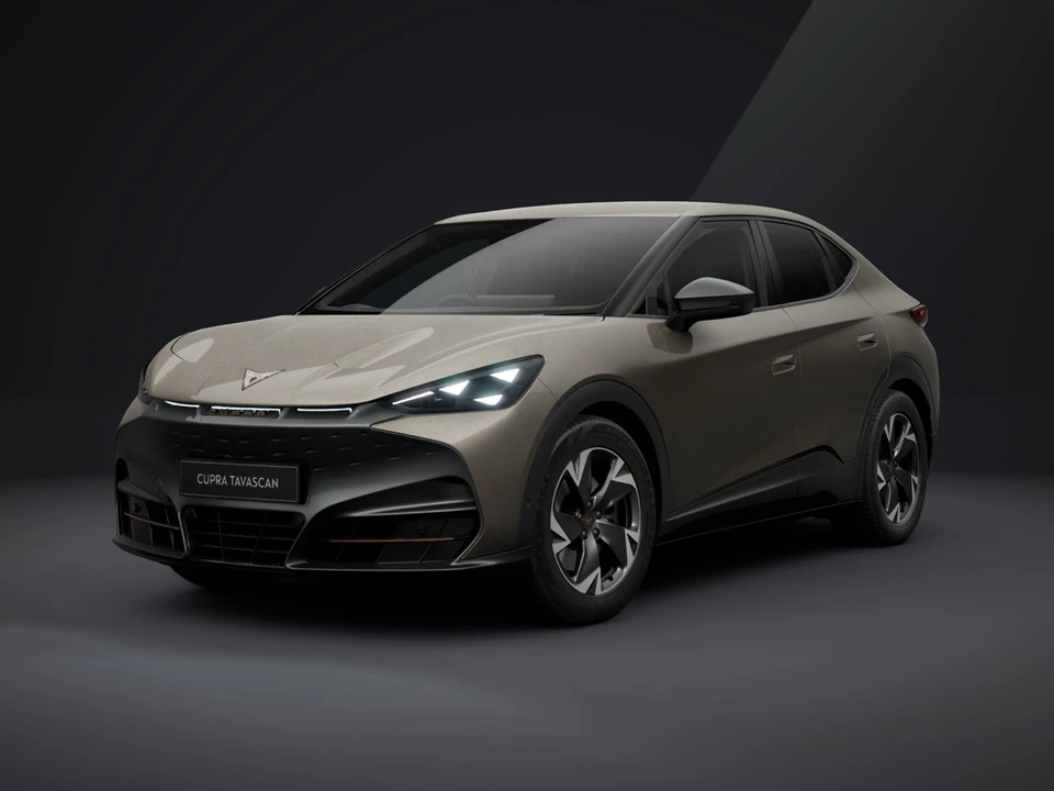 V1 Vehicle Trim
