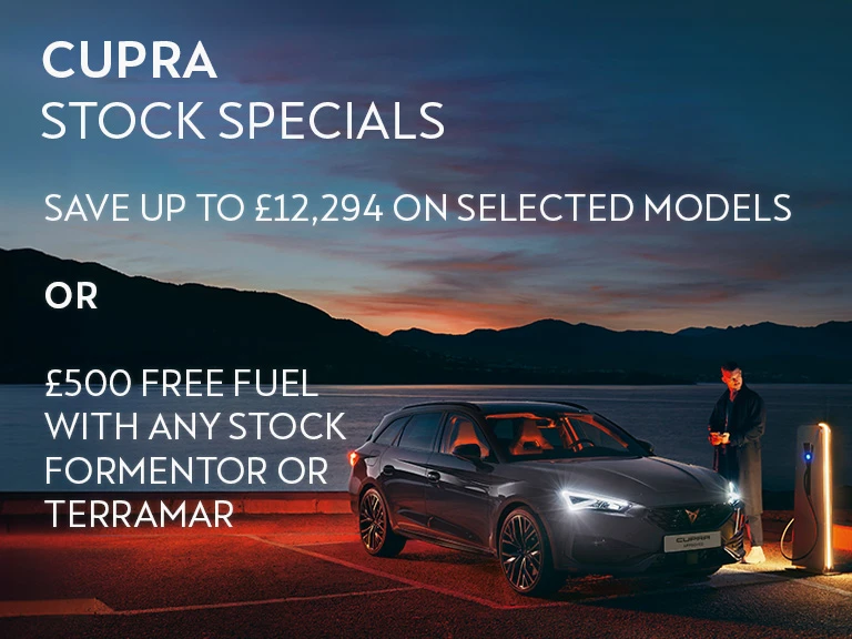 Stock Special