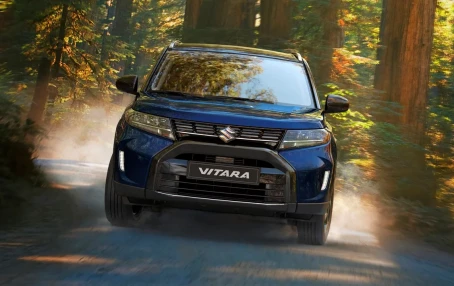The Suzuki Brand