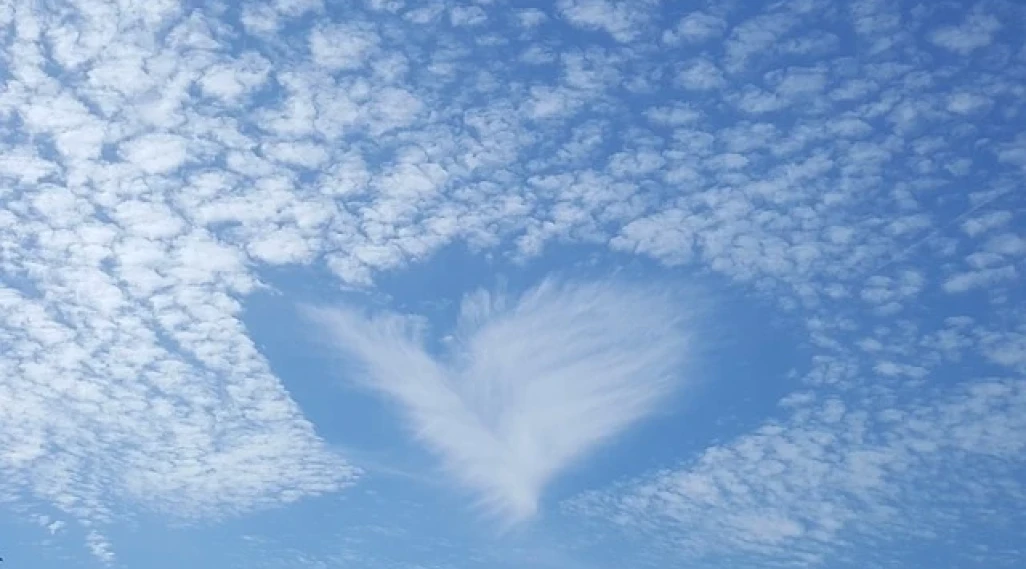 Travelworld Raises £5k for Midlands Air Ambulance Charity