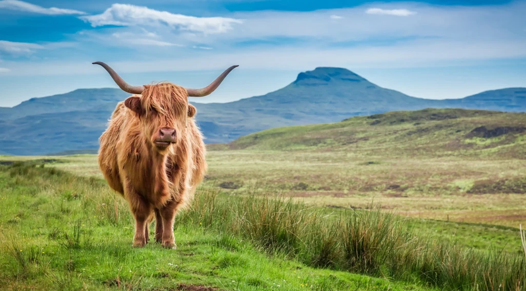 Rebellious Traveller Paves Way For Motorhomes In Highlands