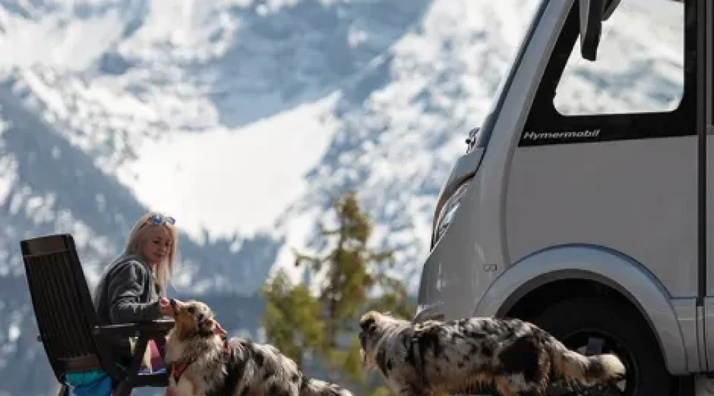 Taking Your Pets On A Motorhome Holiday