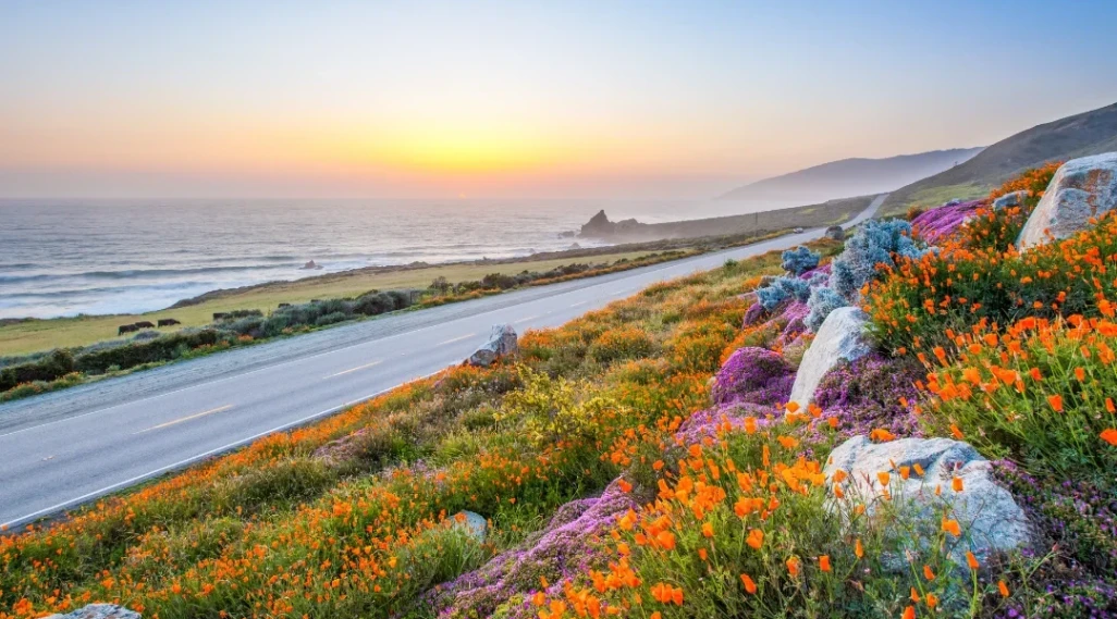 5 Fantastic Motorhomes to Consider for Your Summer Travels