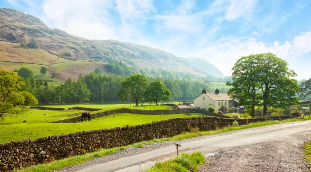 End of Summer Showcase 2025