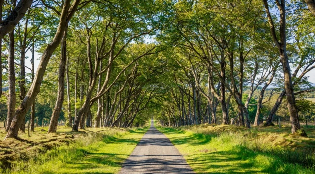 Travelworld Wins Practical Motorhomes Customer Satisfaction Award