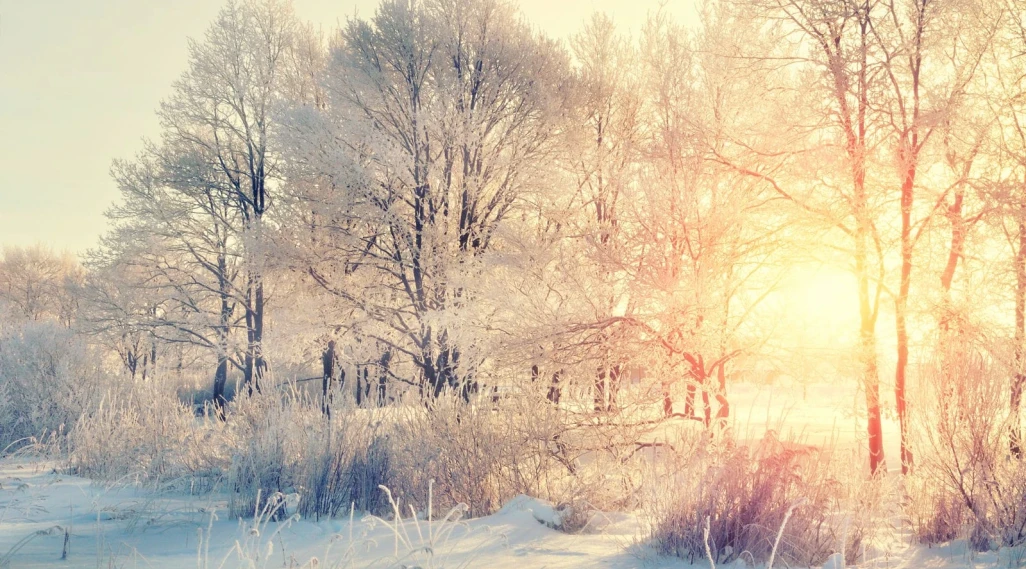 Travelworld apprentice brightens children’s Christmas party with balloon-modelling talents