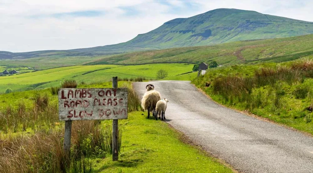 Motorhome Stop Over Movement In Yorkshire