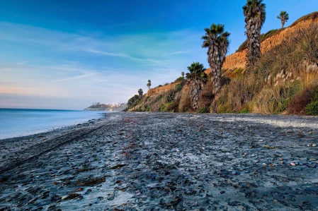 Overseas Motorhome Travel - Dealing With Ticks, Mosquitoes and other Insects