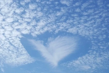 Travelworld Raises £5k for Midlands Air Ambulance Charity