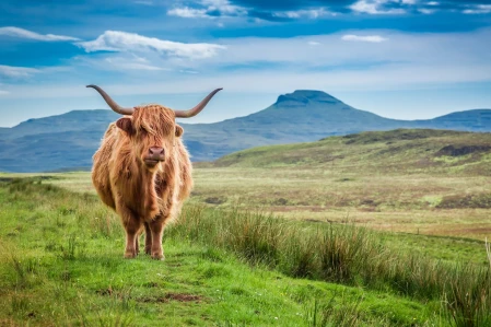Rebellious Traveller Paves Way For Motorhomes In Highlands