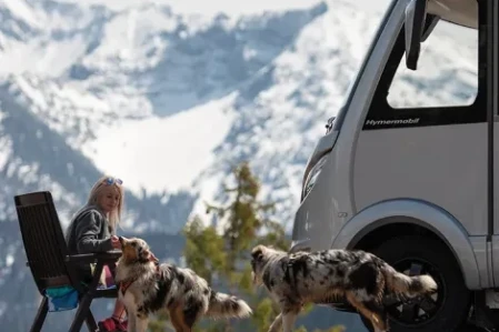 Taking Your Pets On A Motorhome Holiday