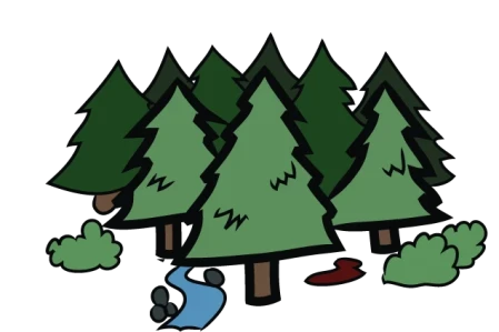 Favourite Forest Retreats For Motorhomers