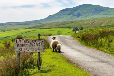 Motorhome Stop Over Movement In Yorkshire