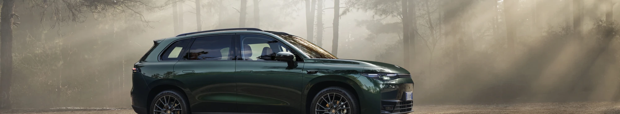 https://mercury-auto.fra1.digitaloceanspaces.com/fitzpatricks_garages_wXtvxT/2026-Apr/2000x370/LM/LM_C/lm-c10-forest1775571794.webp