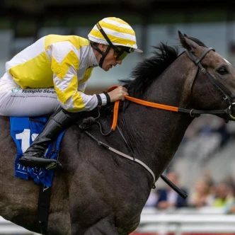 Fitzpatrick’s Garage Group marks successful weekend of sponsorship at the 2026 Irish Derby Festival