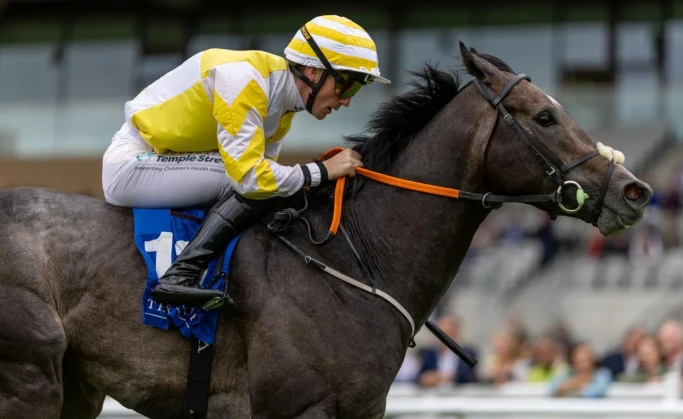 Fitzpatrick’s Garage Group marks successful weekend of sponsorship at the 2026 Irish Derby Festival