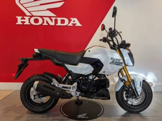 Honda MSX125 Listing Image