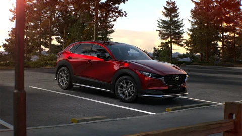 CX-30