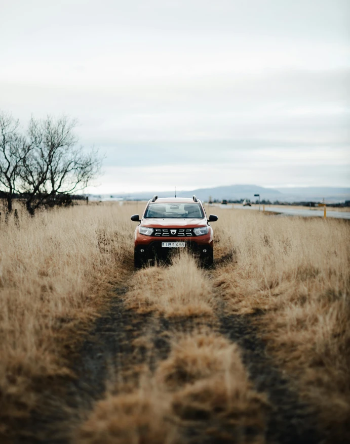 Dacia Service Plans - You'd be silly not to!