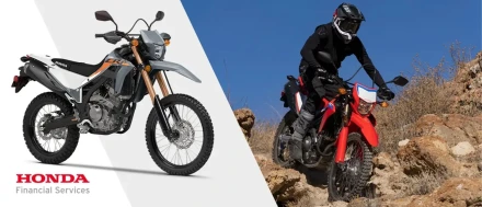 Honda CRF300L Current Offer