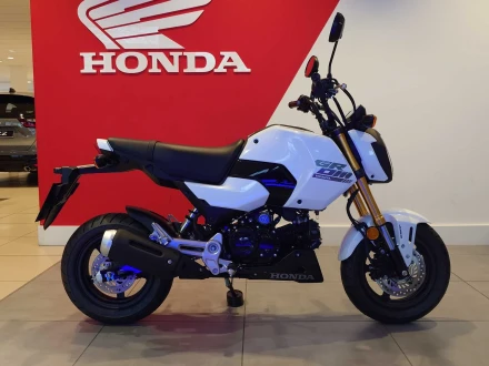Honda MSX125 Listing Image