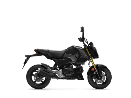 Honda MSX125 Listing Image