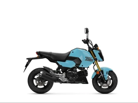 Honda MSX125 Listing Image