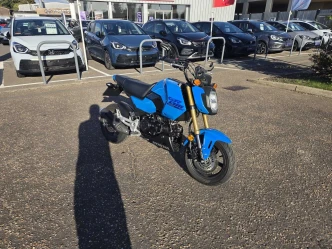 Honda MSX125 Listing Image