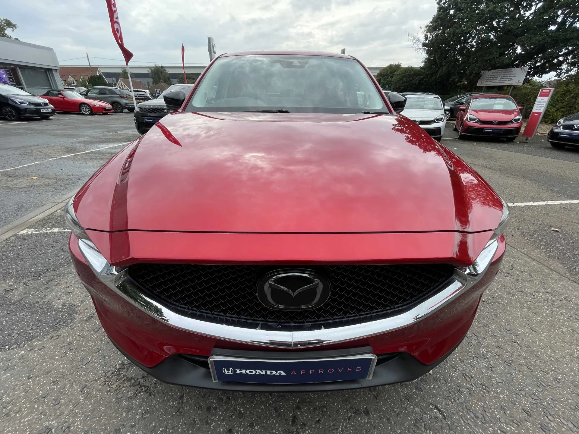 Vehicle image 6