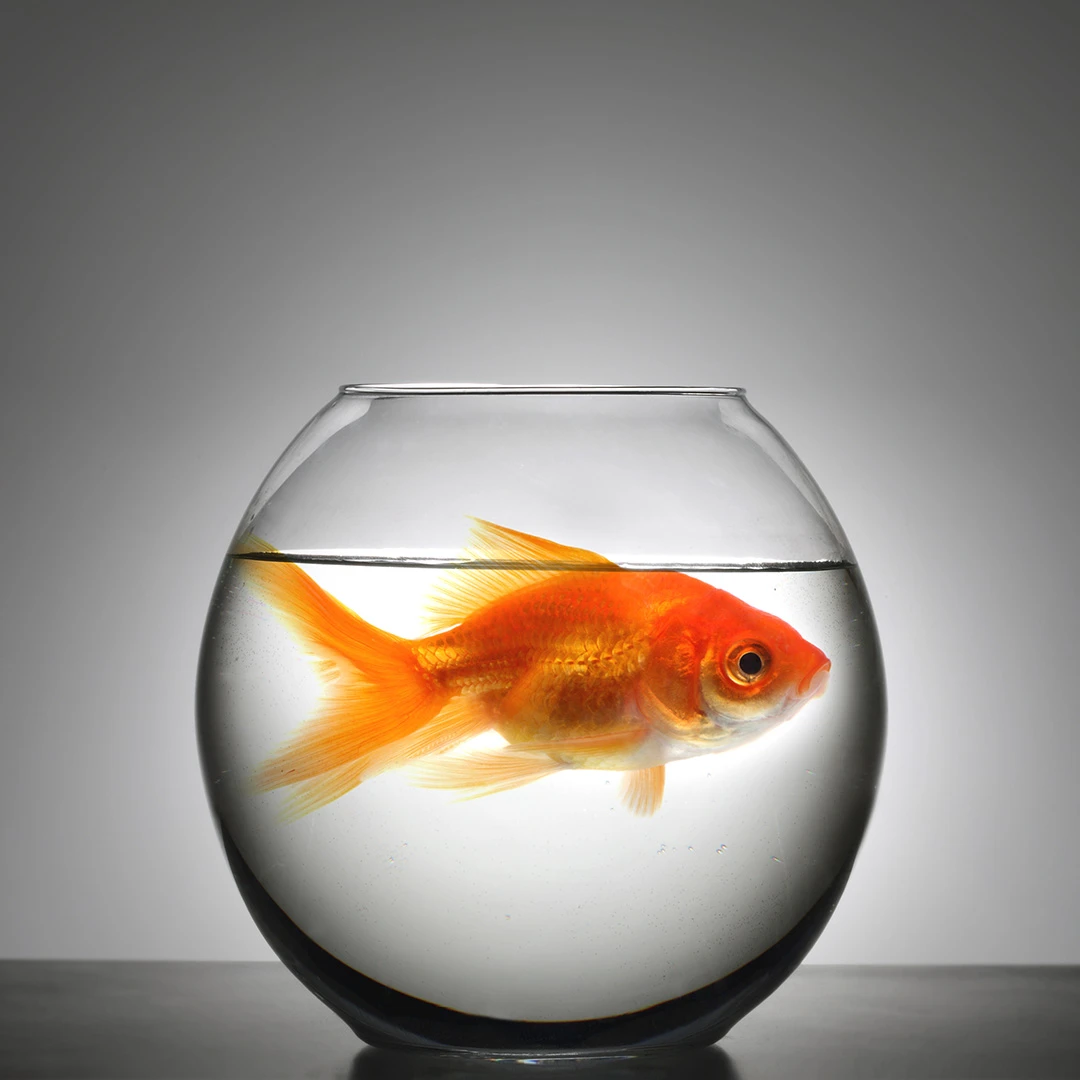 5 Signs Your Business Has Outgrown Owning Vehicles
