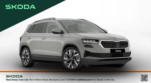 Skoda Karoq Selection+
