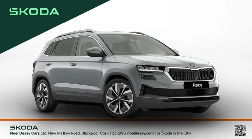 Skoda Karoq Selection+